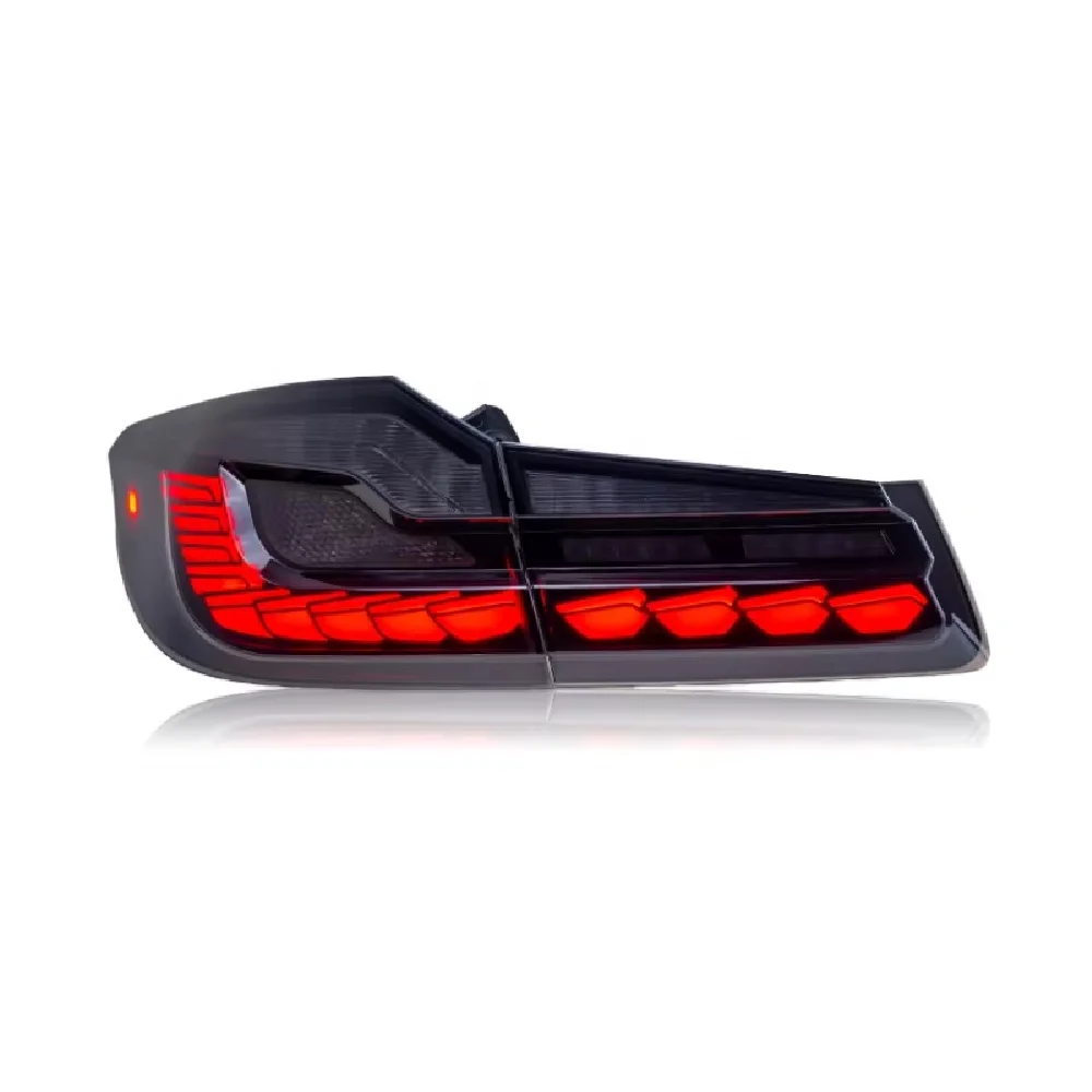 Auto-y Piloto trasero LED escala dragón para BMW Serie 5 G30 G38 - imagen 3