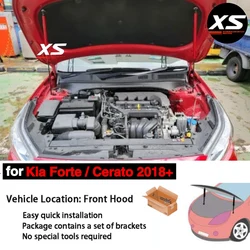 Amortiguadores de capó para Kia Forte/Cerato BD 2018-2024