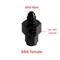 AN4