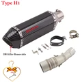 Type H1