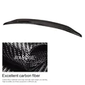 2 Door Carbon Fiber