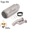 Type D2