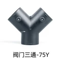 75Y
