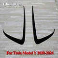 Model Y Gloss Black
