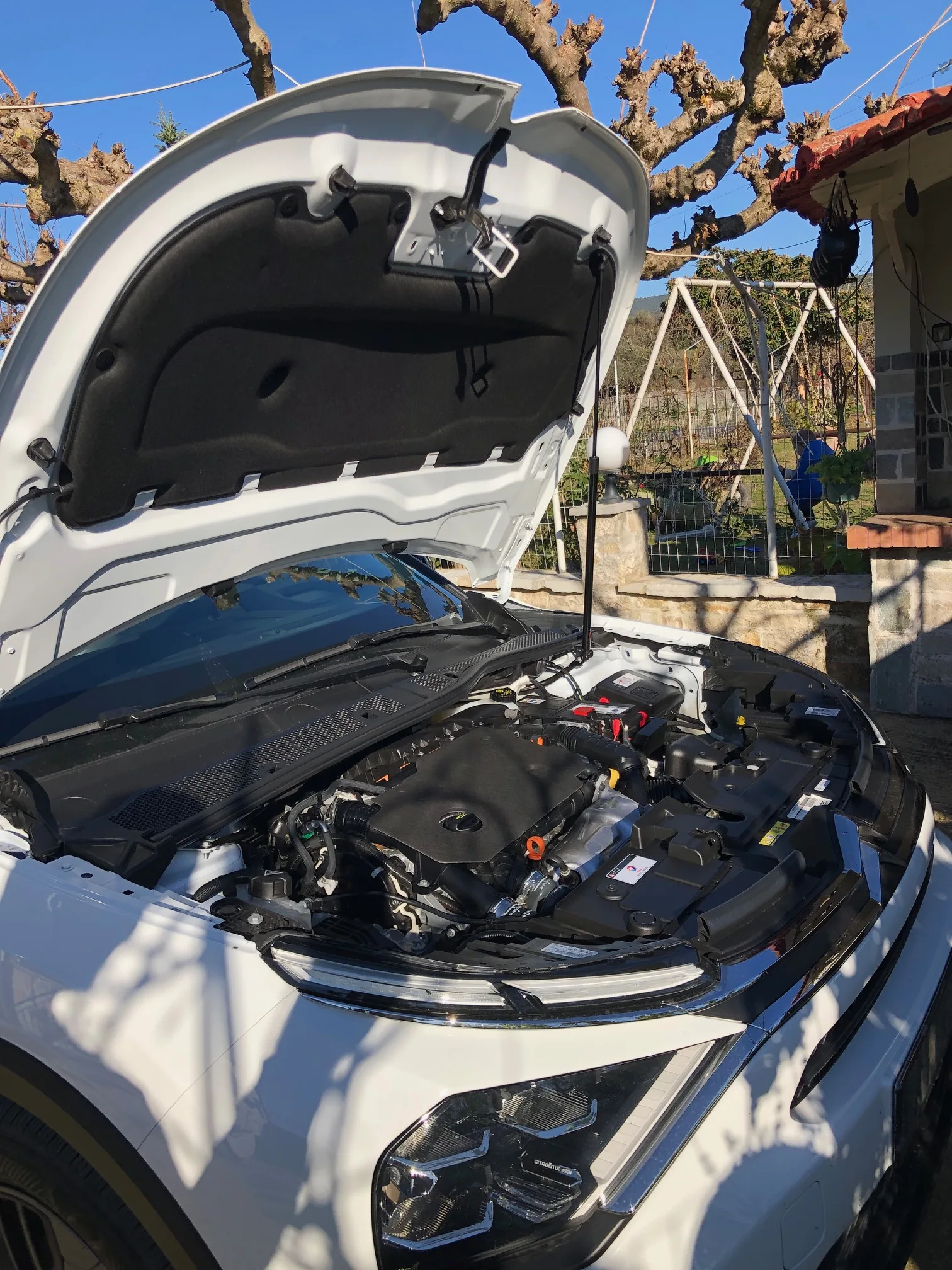 Amortiguador de gas para capó Citroën C4 III 2020-2023