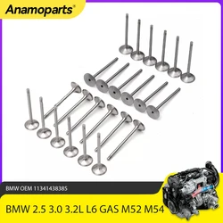 Kit válvulas de admisión y escape para BMW M52/M54 L6