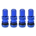 Blue Without Logo