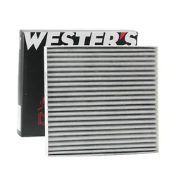 Filtro carbón activado MK9636 para Jetour X70 X90 X95