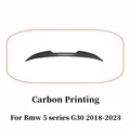 Carbon Printing