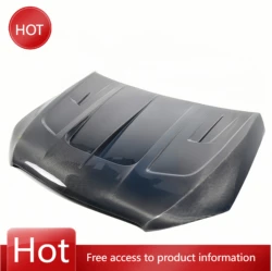 Tapa motor fibra carbono LD Mercedes GLE 20-22