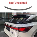 Roof Unpainted