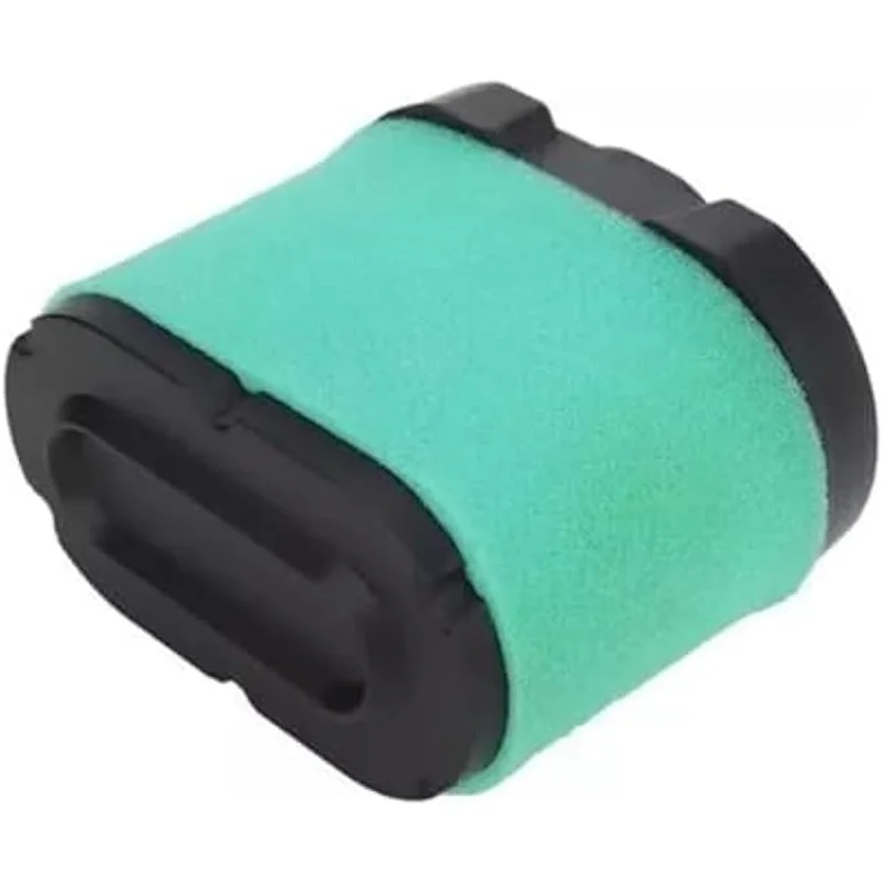 Kit filtro aire y aceite con cubierta Briggs Stratton 407000 40H000 - imagen 4