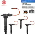 X4 Coil and Plug