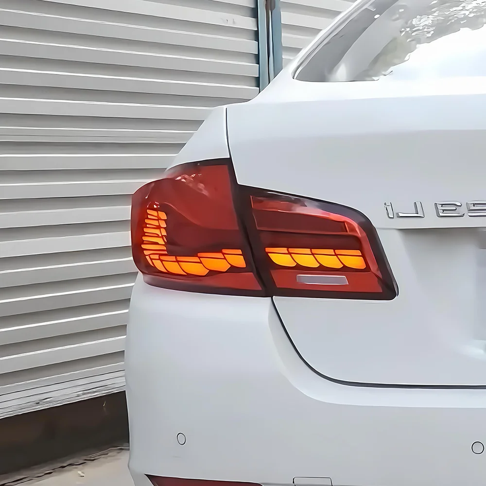 Pilotos traseros LED Dragon Scale para BMW Serie 5 F10/F18