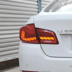 Pilotos traseros LED Dragon Scale para BMW Serie 5 F10/F18