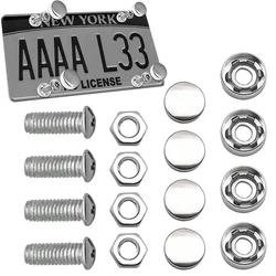 Tornillos antirrobo para matrícula de coche de acero inoxidable
