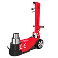 50T DAP