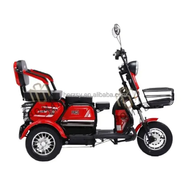 Triciclo eléctrico 48V 800W para adultos 3 ruedas cuerpo abierto - imagen 2