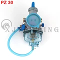 PZ30 blue