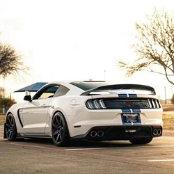 Alerón trasero ABS acabado carbono Ford Mustang 2015-2020 deportivo