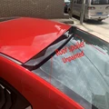 Roof Unpainted