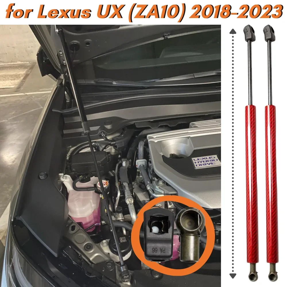 Amortiguadores de capó para Lexus UX 200/250h/260h/300 (2018-2023)