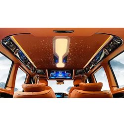 Luz de techo V-Class V250 VITO W447 - Iluminación interior
