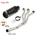 Type D1