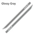 Glossy Gray