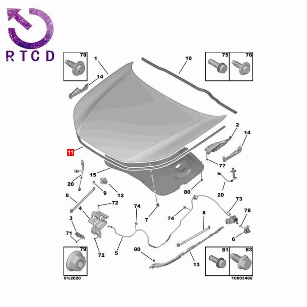 Tira de sellado de capó YL01257480