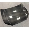 Carbon Fiber