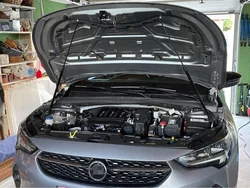 Amortiguadores de capó para Opel Corsa F 2019-2023