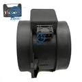 Maf Sensor And Plug