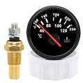 GaugeXSensor BN