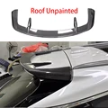 Roof Unpainted