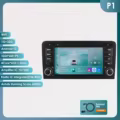 P1 (4Core 1G 32G)