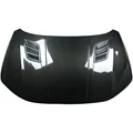 Carbon Fiber