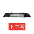 lower grill 16-19