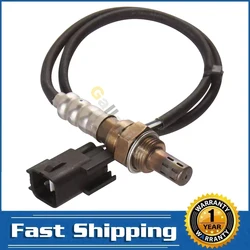 Sensor de oxígeno aguas abajo 234-4238 para Kia 2.0/2.4L
