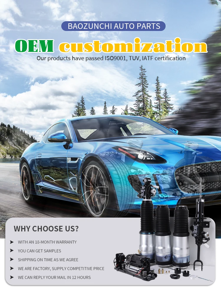 Amortiguador de aire delantero derecho