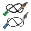 2 oxygen sensors