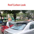 Roof Carbon Look
