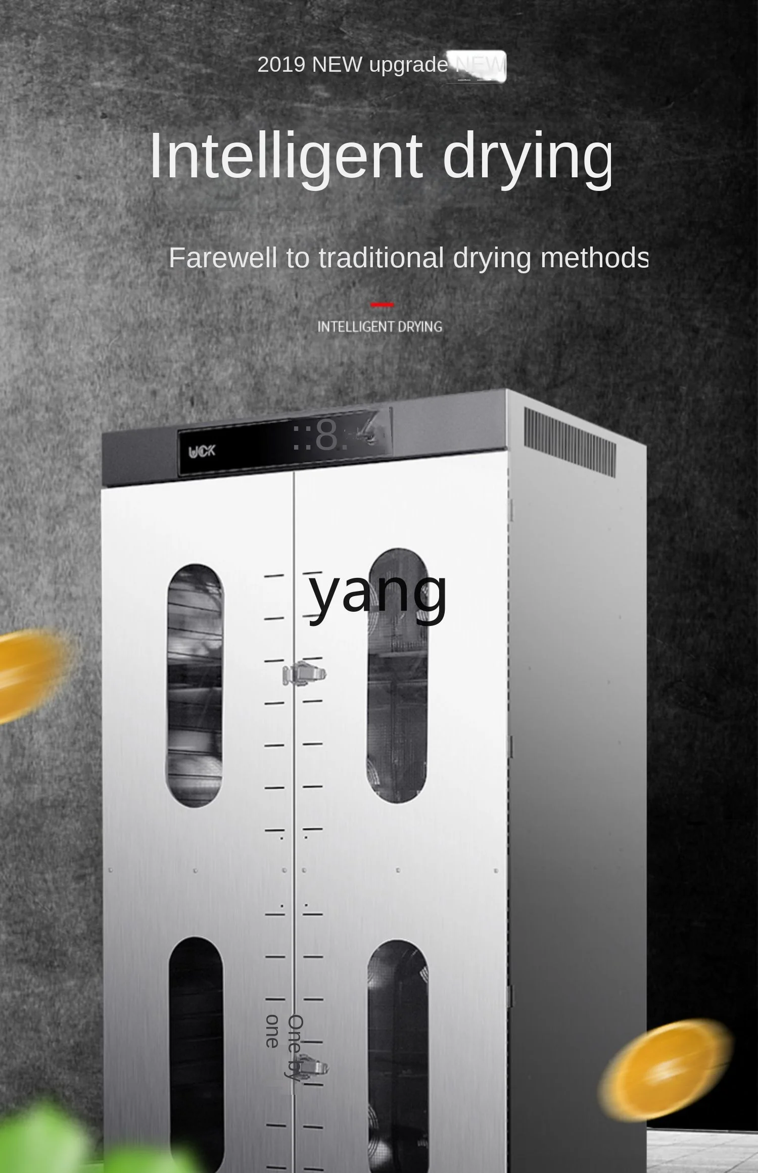 Jq Tostador de salchichas Secador doméstico Comida Comercial Frutas y verduras Longans Mariscos Alimentos - imagen 5