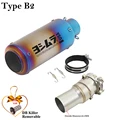 Type B2