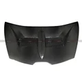 Dry carbon fiber
