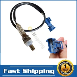 Sensor Lambda Trasero 4 Cables Mini Cooper Countryman Paceman 1.6L AP01