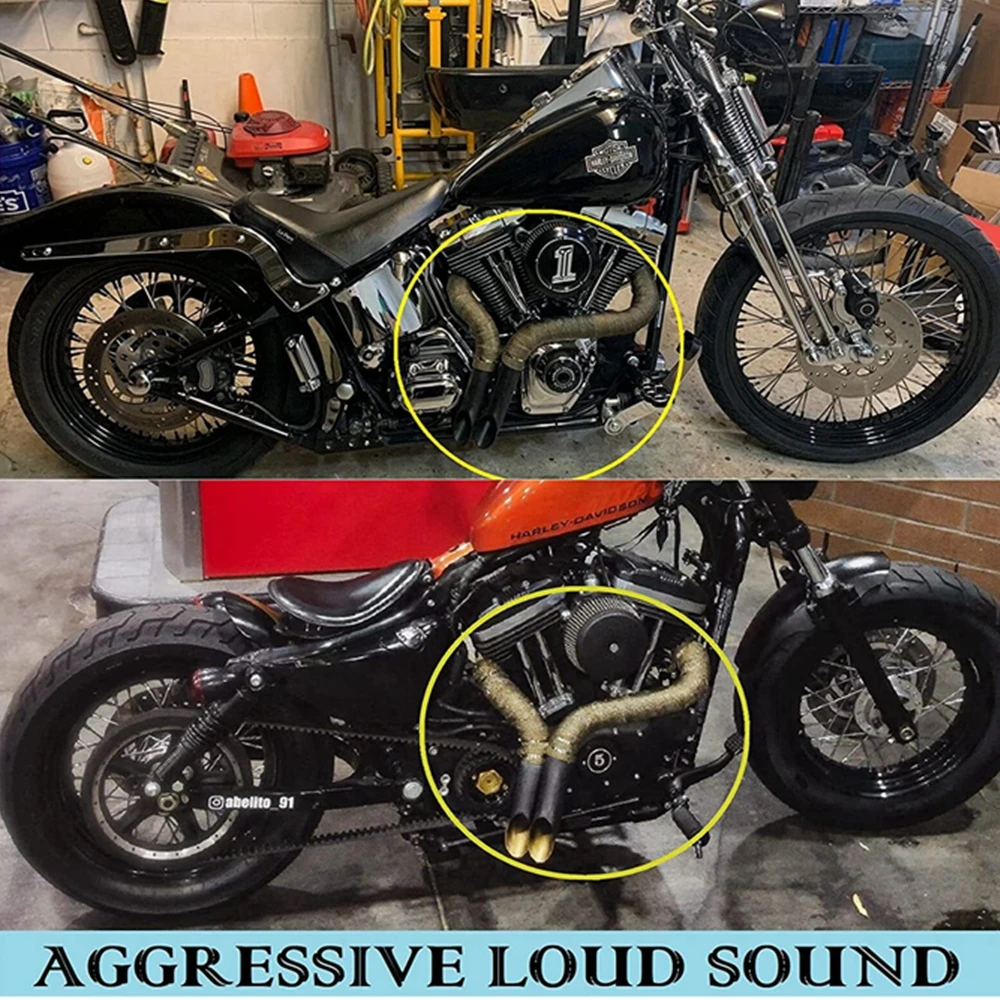 Escape Harley-Davidson Sportster Touring Softail, actualización - imagen 2