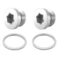 Silver-Plug