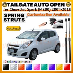Amortiguadores de portón para Chevrolet Spark M300 (2009-2015)