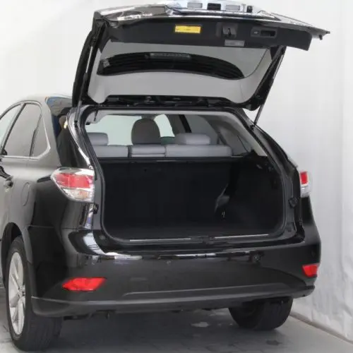 Amortiguadores de portón trasero para Lexus RX AL10 (2008-2015)